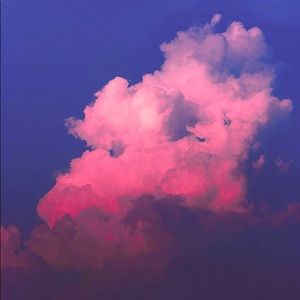 Meet your Posher, Hailey